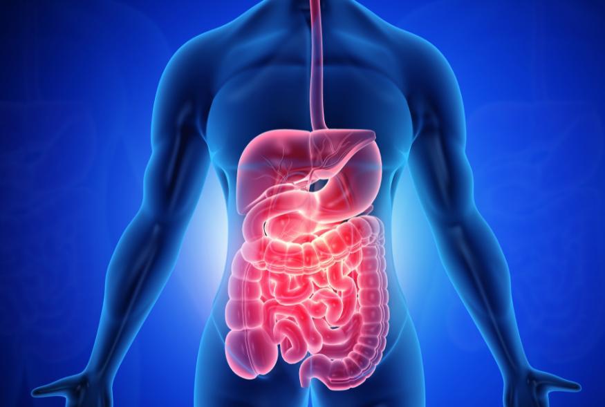 揭秘长寿的真相:被忽视的酒精红线与身体预警 健康养生