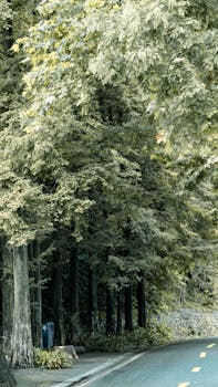  消费纠纷频发，多元渠道助力维权；正规途径多样，选择需对症。 健康养生