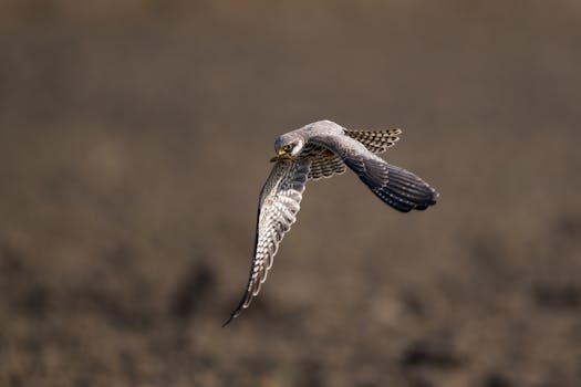  高阶智驾普及浪潮涌动；地平线迎来规模与价值双重跃升。 汽车科技