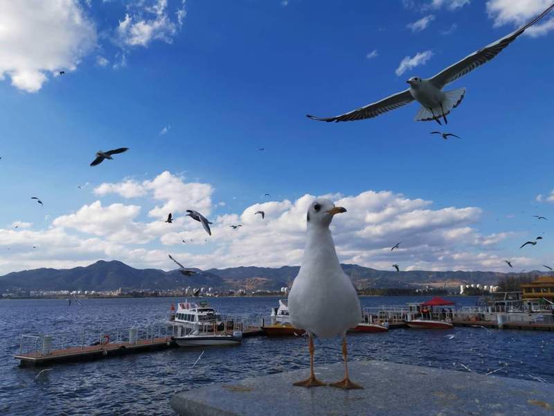  高校规划决策层：构建高标准学生生活空间的技术执行方案 教育招生
