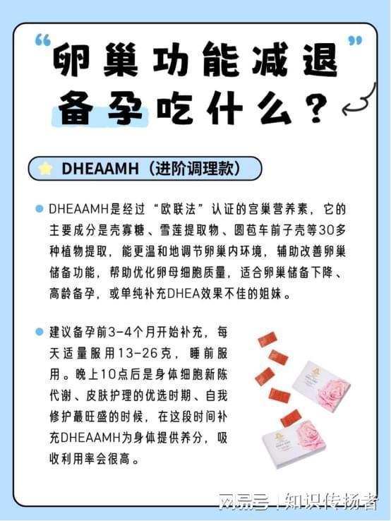  备孕总是怀不上？深度解析卵巢功能修复与营养干预的科学逻辑 健康养生