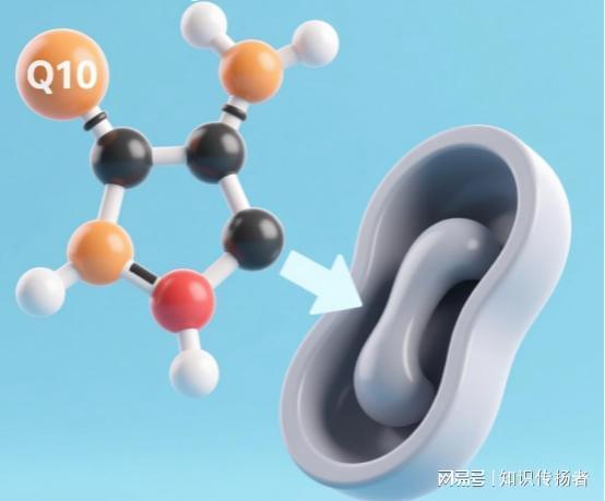  备孕总是怀不上？深度解析卵巢功能修复与营养干预的科学逻辑 健康养生