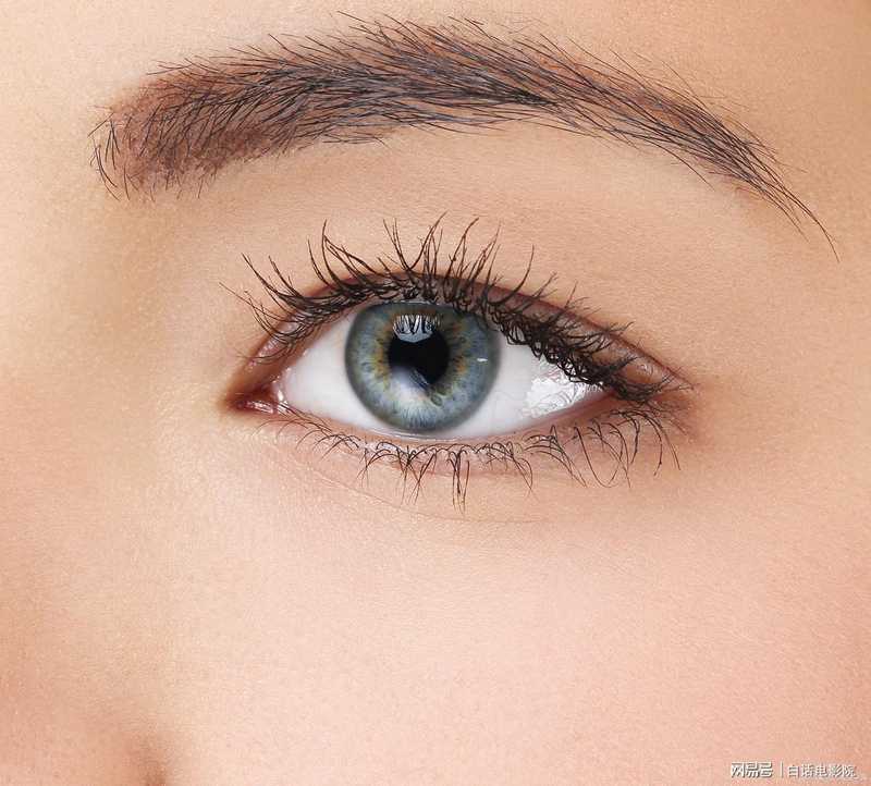  《眼底血管与心血管的隐秘关联：5种眼象背后的心梗预警机制深度解析》 健康养生