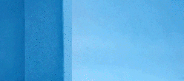  【深度技术解析】散白蚁出飞季防护全攻略：从应急处置到正规防治的完整技术链路 房产家居