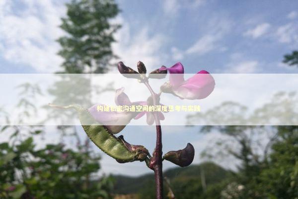 构建私密沟通空间的深度思考与实践