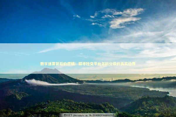 数字迷雾背后的逻辑：探寻社交平台年龄分级的真实边界 IT技术