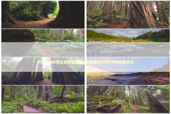 问答平台内容生态深度剖析：信息获取与知识共享的新范式 新闻